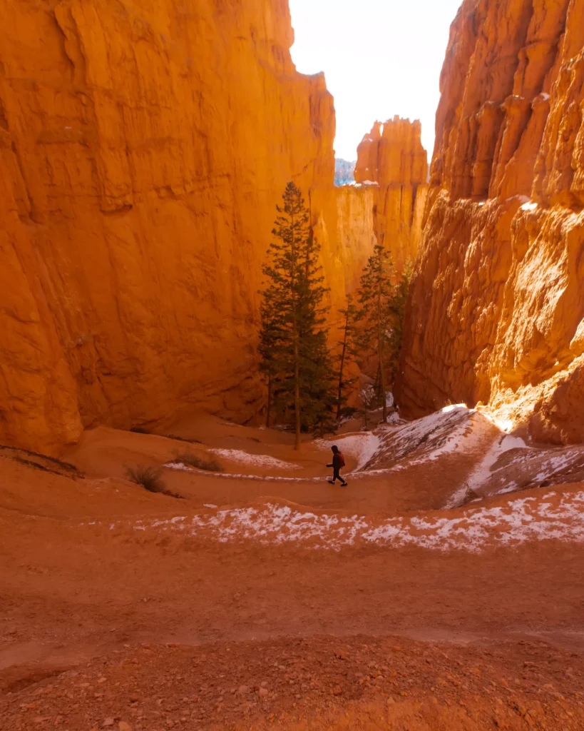 guy walking down the hoodoos in brye