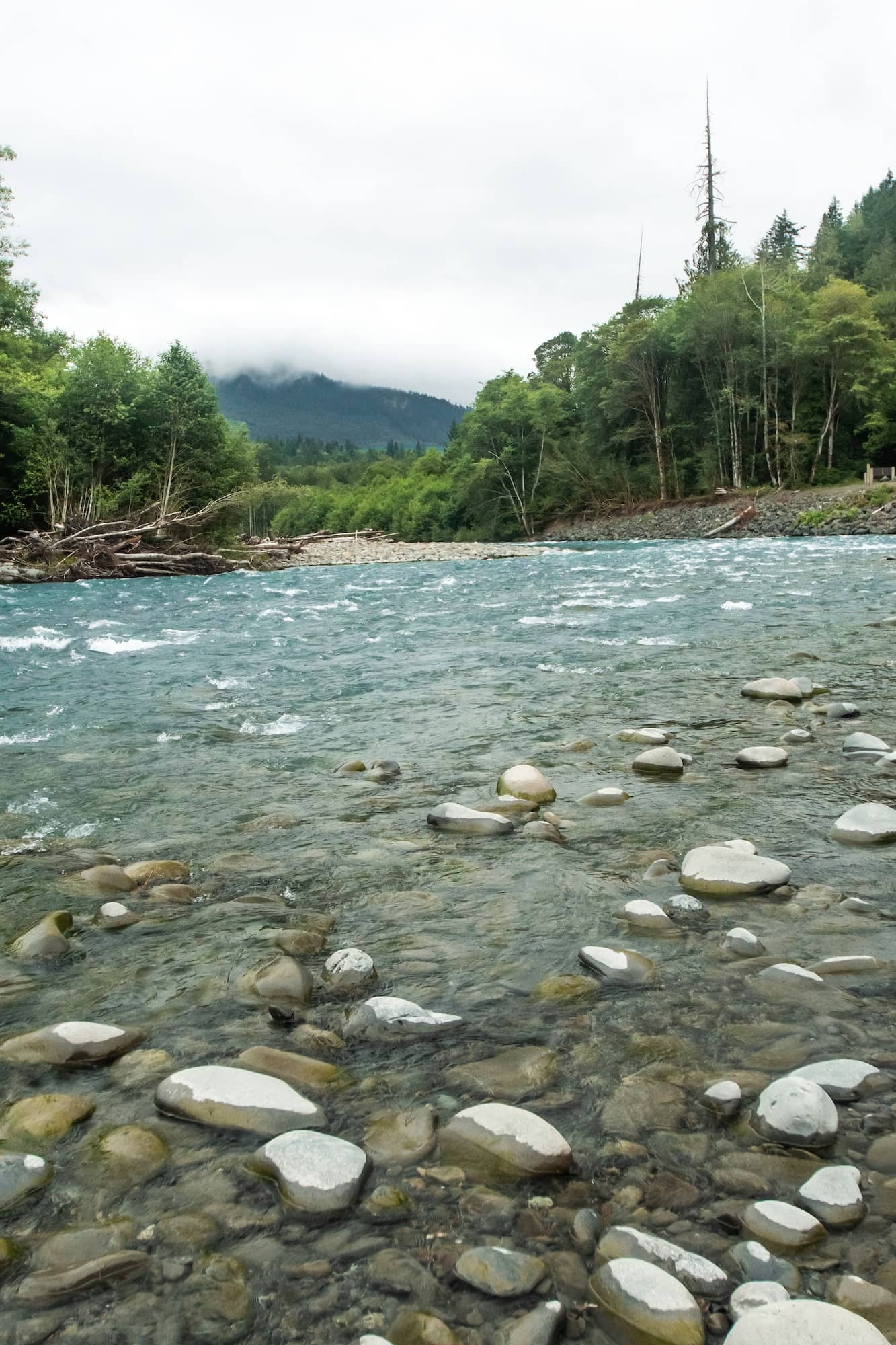 icy blue river in moody and rainy olympic national park