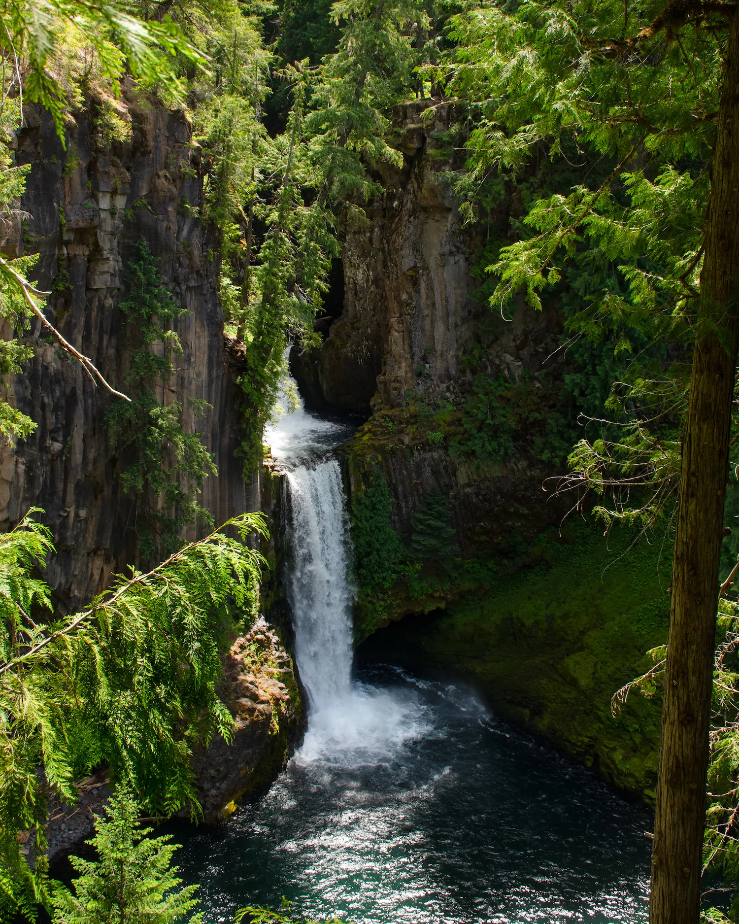 Toketee Falls close up