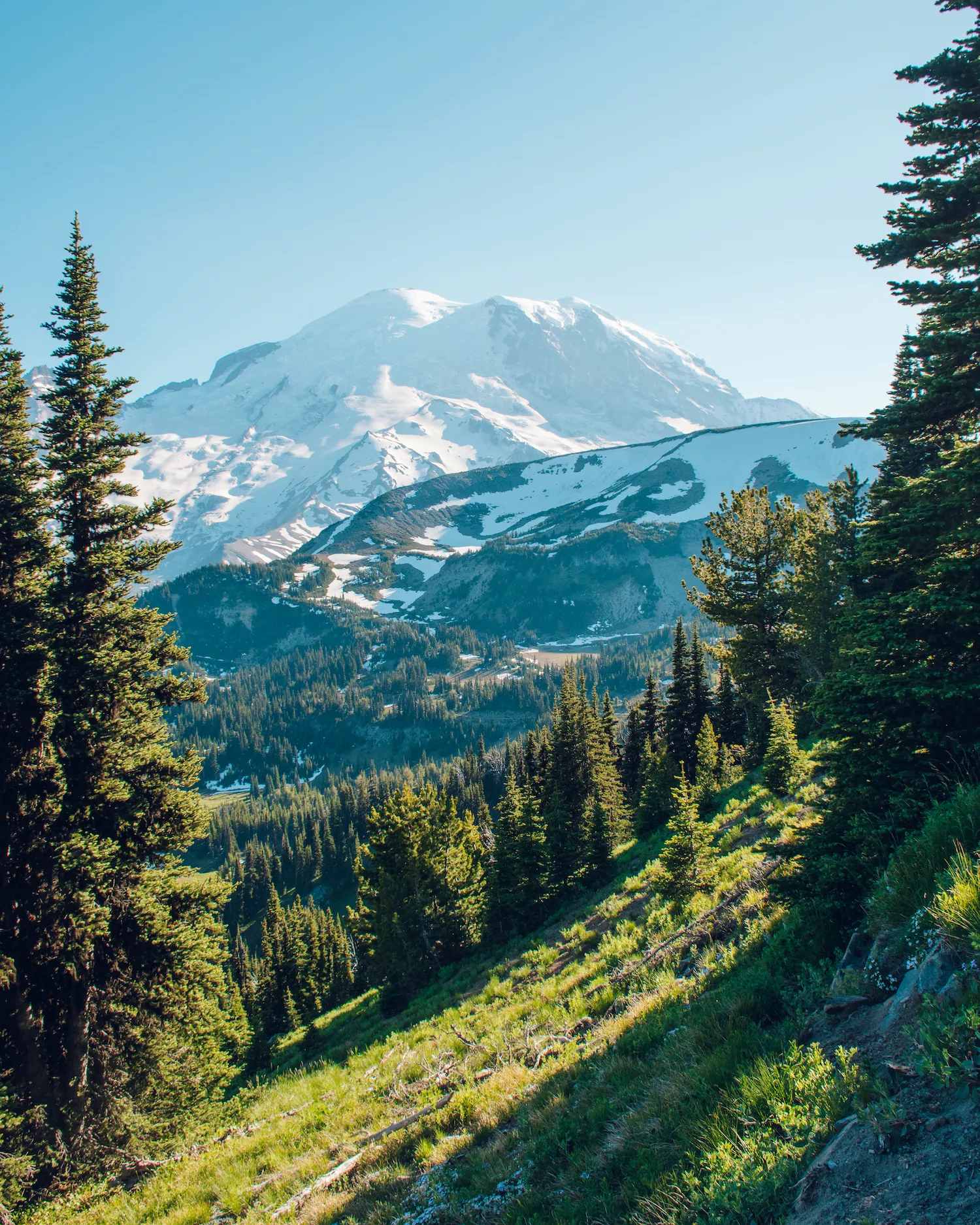 Mount Rainier From trail